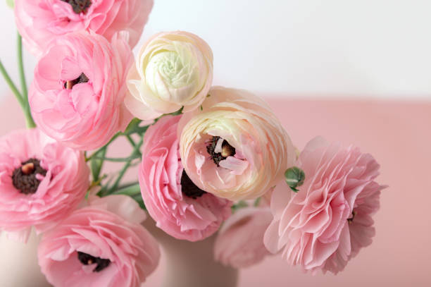 istock Tender ranunculus flowers in ceramic vase 1382627643