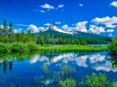 Mount Washington at Big Lake Willamette National Forest Oregon