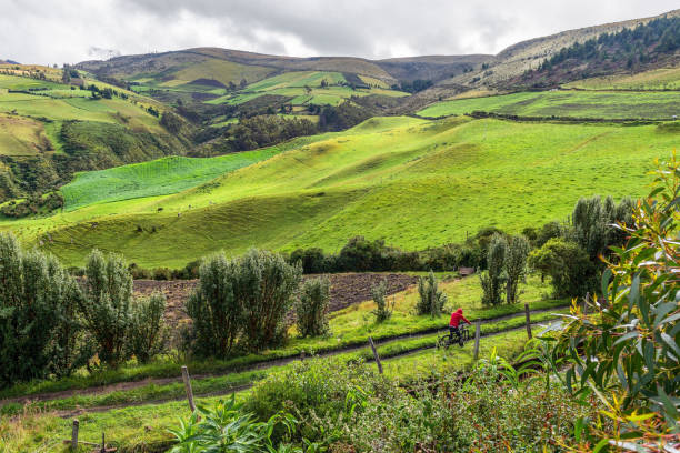 컨트리 로드 사이클링, 케이암베 화산, 에콰도르 - valley ecuador mountain landscape 뉴스 사진 이미지