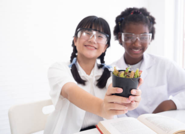 Selective focus. Children scientists showing plant in hand, doing analysis for germs with glassware in laboratory. Scientific experiment concept.