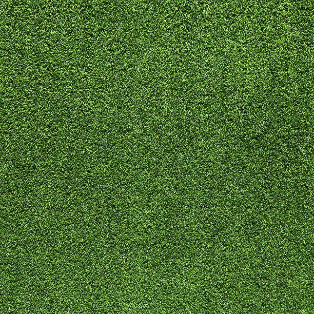 Grass  background stock photo