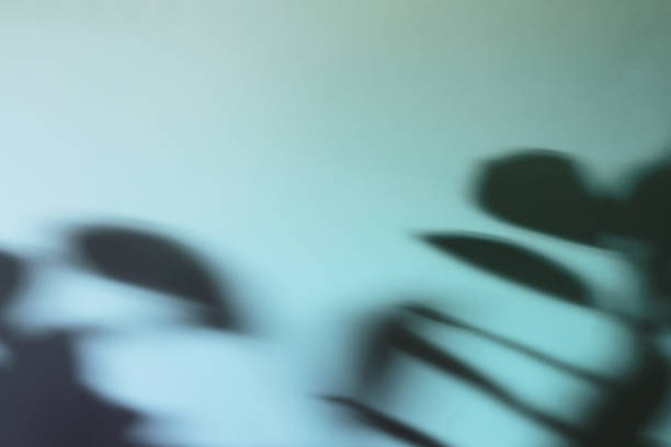 istock Natural leaves shadow on gradient paper background. Abstract blue and mint floral backdrop. Soft light 1382726711