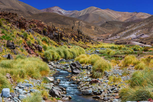 istock A crystal clear mountain stream flowing down the Abra del Acay 1382734924