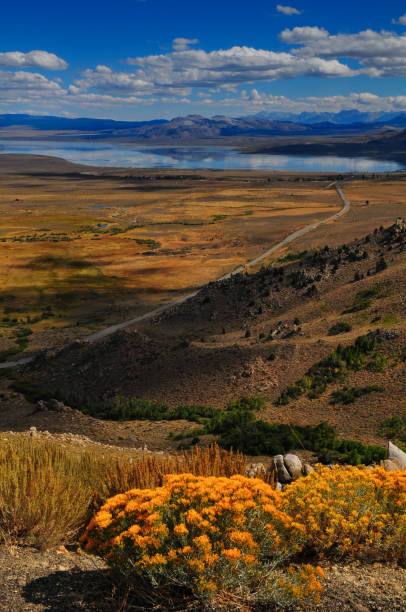 istock Mono Lake and the Eastern Sierra Nevada 1382739625