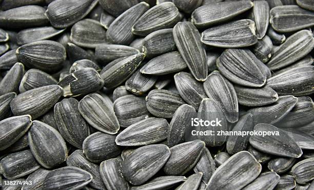 Sunflower Seeds Stock Photo - Download Image Now - Agriculture, Beauty, Botany