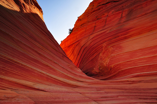 Early morning reflected light on The Wave sandstone formation, Coyote Buttes North, Vermilion Cliffs National Monument, Arizona, USA