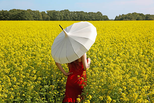 Woman with a parasol looks at the sea of ​​flowers stock photo