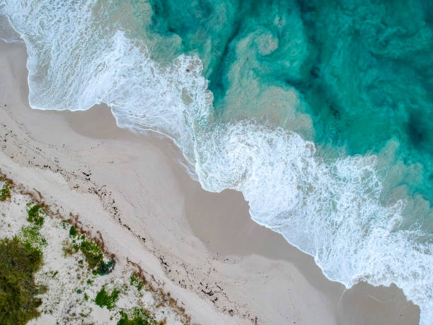 istock Yanchep Beach Western Australia 1382760081