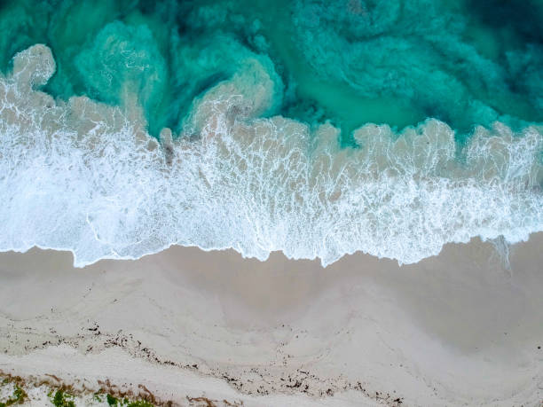 istock Yanchep Beach Western Australia 1382760108
