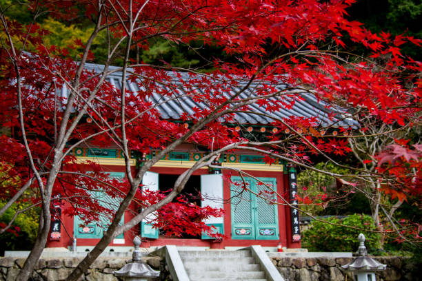 istock Temple in Autumn 1382765927