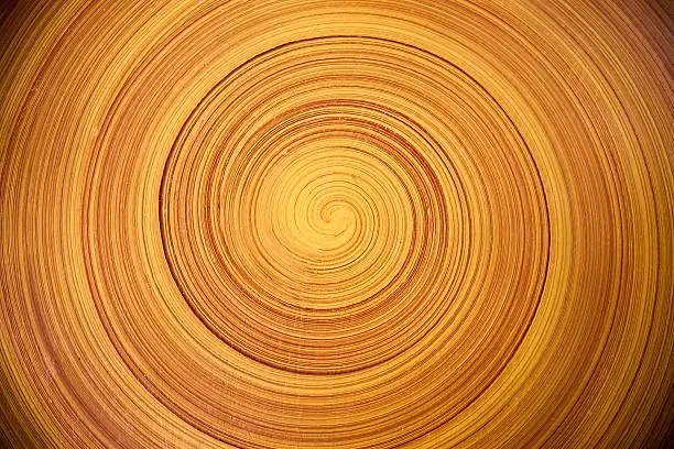 Abstract background like slice of wood timber natural. Tree ring.