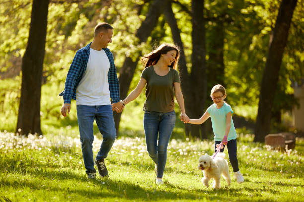 istock Happy family having fun while walking with a dog in the park 1382784241