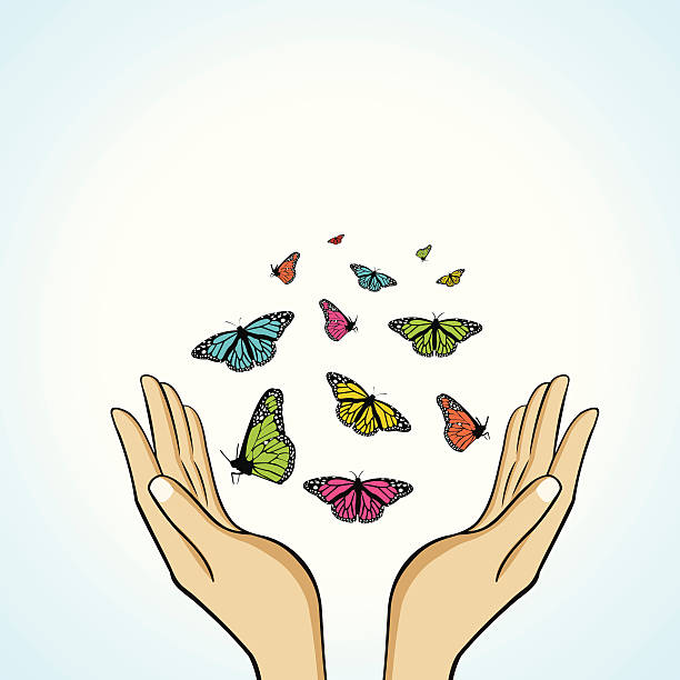 butterfly vector art illustration