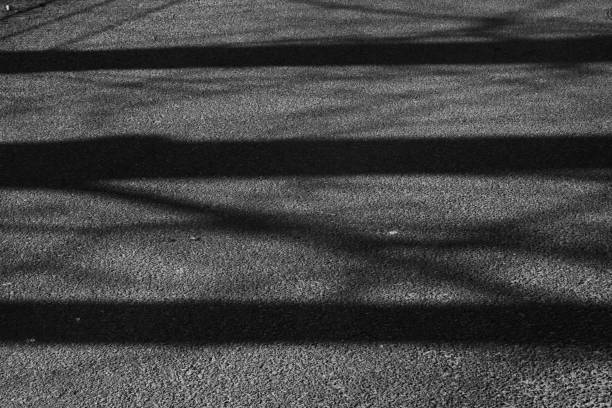 istock trees cast shadows on the street 1382808783