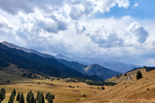 istock green mountains covered with fir trees forest 1382811079