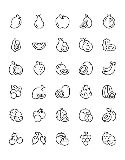 illustrazioni stock, clip art, cartoni animati e icone di tendenza di fruits icon set 240 isolato su sfondo bianco - rambutan