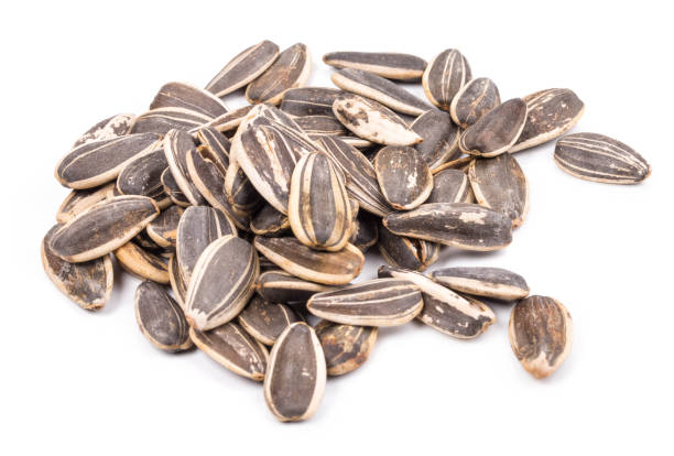 istock Background of sunflower seeds. 1382813912
