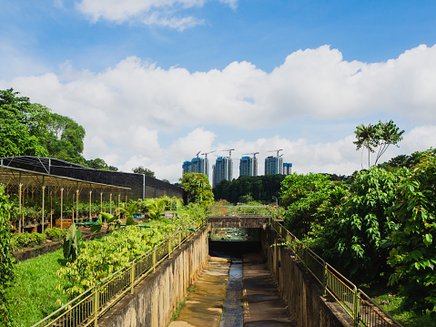 View of a plant nursery by a large drain, with construction of building developments in the background. Green, sustainable urban city concept.