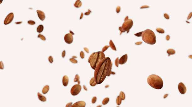Many brown coffee beans on white background float due to falling to the ground and bouncing up. 3D rendering coffee beans. Isolated