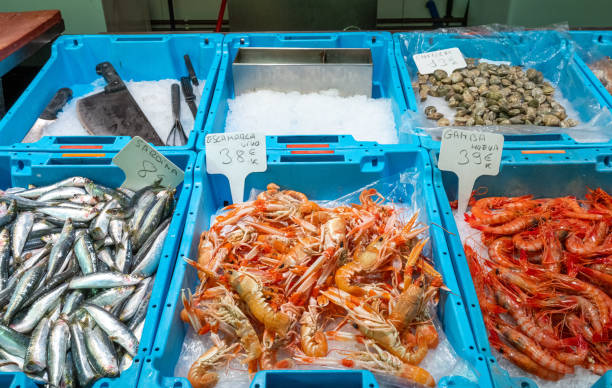 istock Sardines, prawns and clams 1382832462