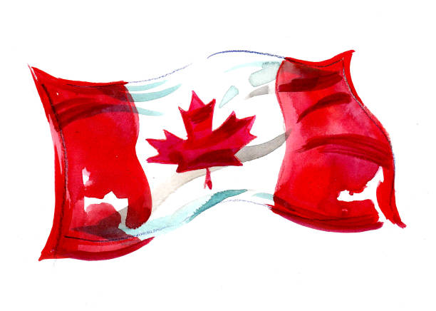 수채화 캐나다 국기 - canadian flag canada canada day flag stock illustrations