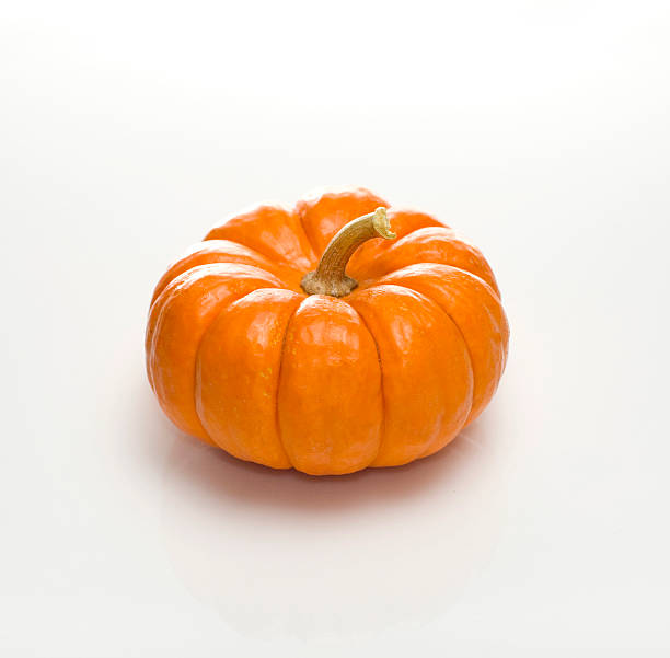 Minature Pumpkin stock photo