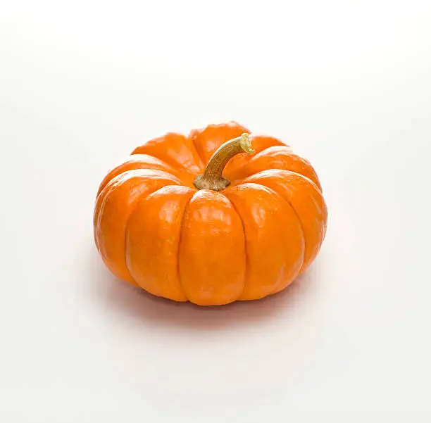 Photo of Minature Pumpkin