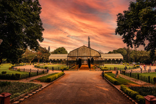 Bangalore or Bengaluru Lalbagh Botanical Garden in Bangalore bangalore stock pictures, royalty-free photos & images