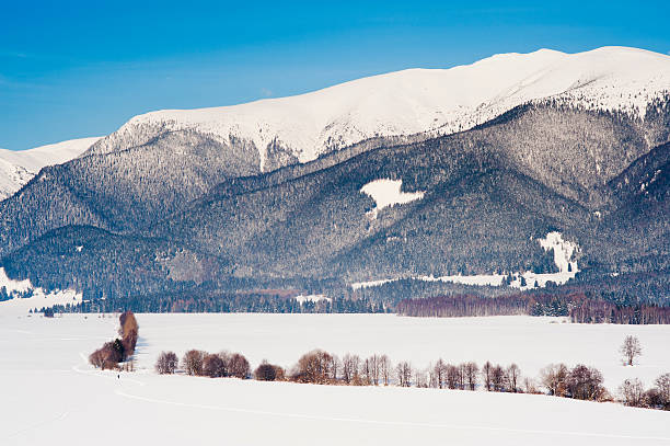 istock Skiing in winter country 138287510