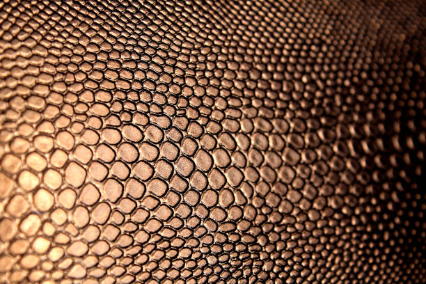 istock Texture of shiny artificial leather under brown snake 1382894559