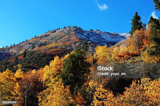 Colori Autunnali Utah - Fotografie stock e altre immagini di Acero - Acero, Acqua, Albero