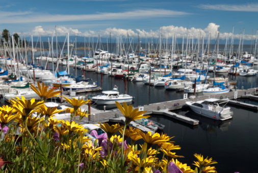 Marina with boats and flowers in Parksville