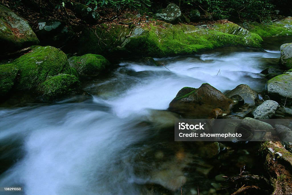 Smoky Mountain Stream Stream in Smoky Mountain National Park Appalachia Stock Photo
