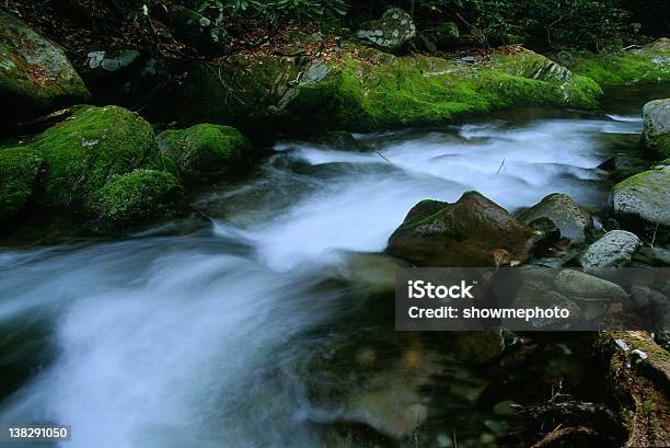 Smoky Mountain Stream Stock Photo - Download Image Now - Appalachia, Beauty In Nature, Breaking Wave