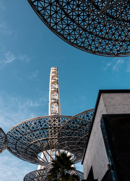 istock Ain Dubai, dubai ferris wheel with super trees 1382915845