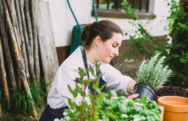 istock Woman gardening in the back yard 1382916413