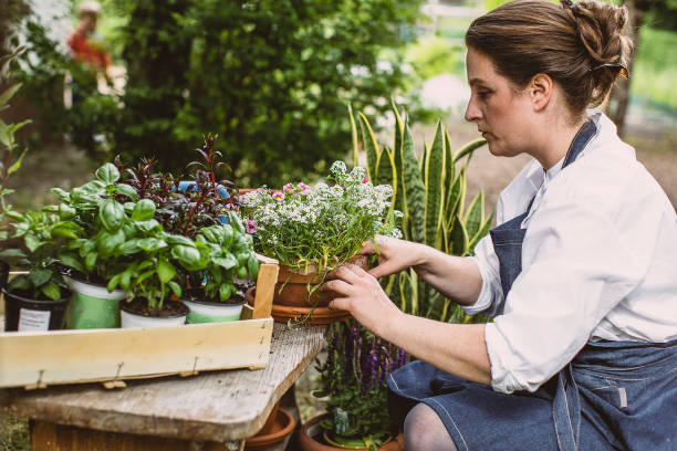 istock Woman gardening in the back yard 1382916488