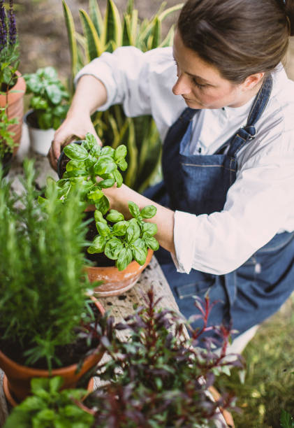 istock Woman gardening in the back yard 1382916525