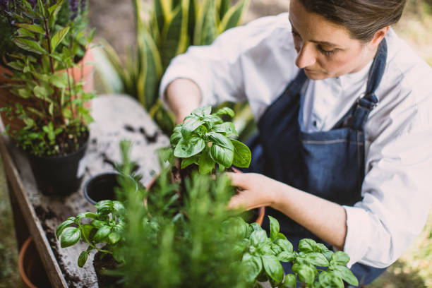istock Woman gardening in the back yard 1382916529