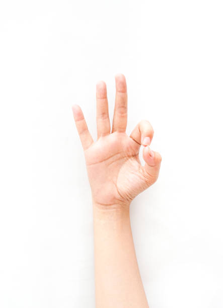 hand gesture in minimalist style