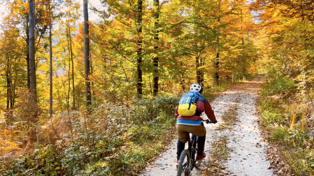 istock Young man mountain biking in autumn forest 1382940145