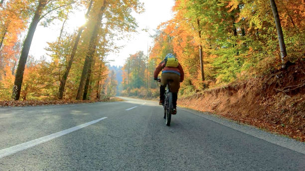 istock Young man mountain biking in autumn forest 1382940146