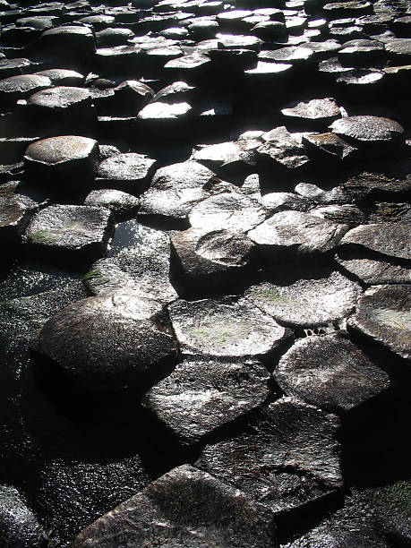 (Giant's Causeway Irlanda - foto de stock