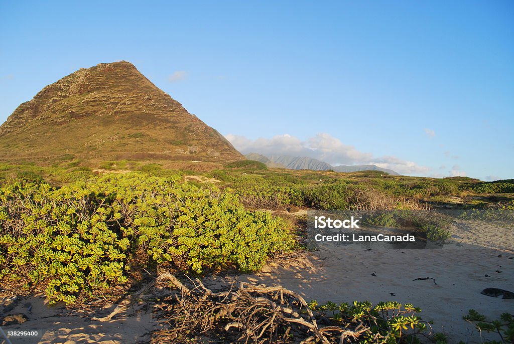 Закат с солнечными лучами в песчаные дюны Kaena точка - Стоковые фото Haleiwa роялти-фри