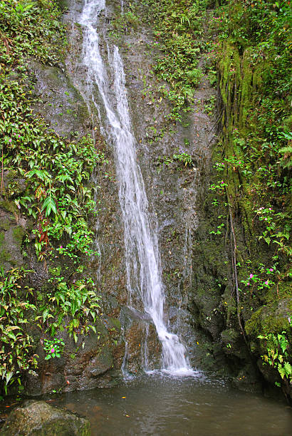 istock Aihualama Falls in Manoa Valley, Oahu, Hawaii. 138295403