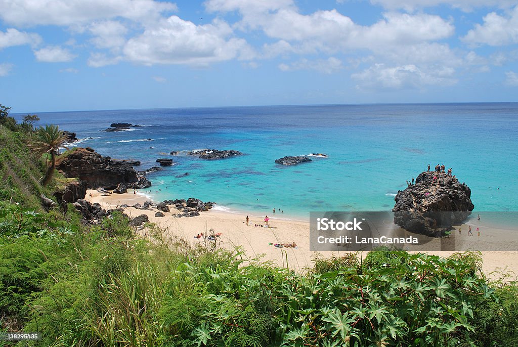 Rock en Saltos de Waimea Bay, en la Costa Norte de Oahu - Foto de stock de Waimea - Oahu libre de derechos