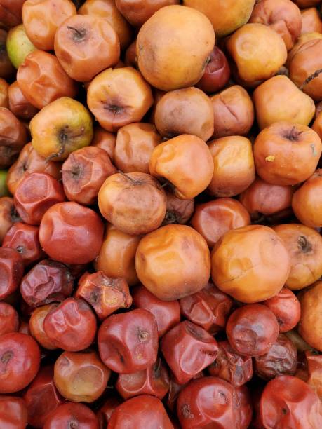 istock Dried plum fruits close up 1382989454