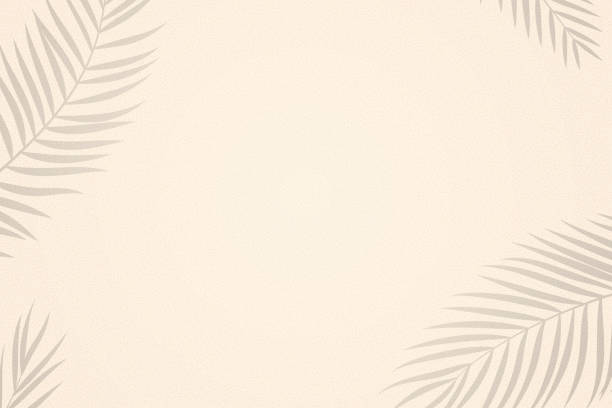 illustrations, cliparts, dessins animés et icônes de feuilles de palmier ombres sur fond texturé de sable - backgrounds color image directly above full frame