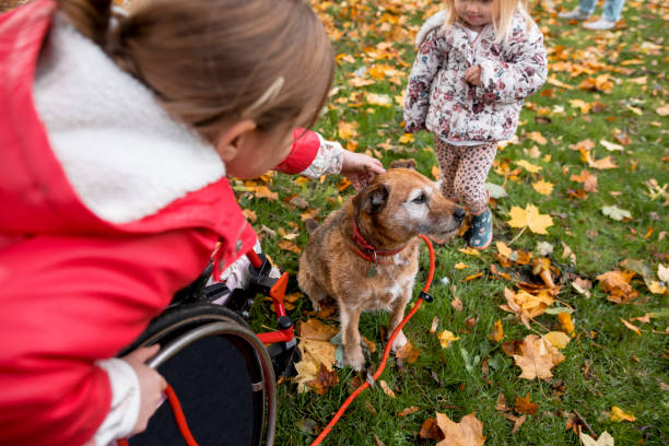 istock Stroking The Dog In The Park 1383000230