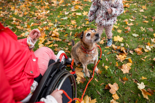 istock Playing In The Park With Dog 1383001325